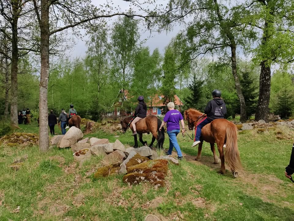 En karavan med hästar och ryttare. En ledare i lila tröja med epilepsiföreningens logotyp med det brinnande ljuset går bredvid. Runt om vårgrön skog och en röd stuga med blå dörr.